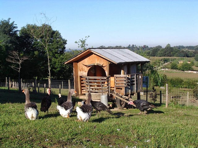 Ferme découverte DUCAZAUX