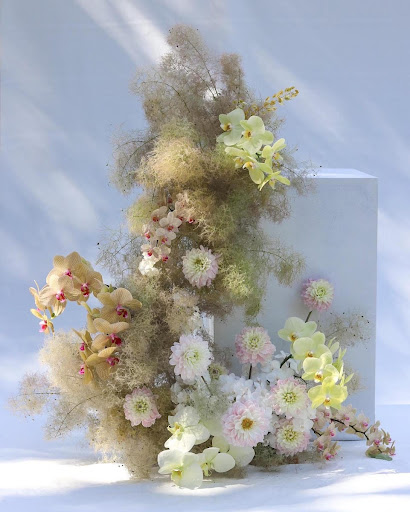 Petal Talk - Visual