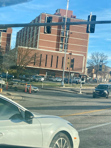 Mizzou - Visual
