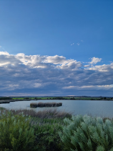 Lagunas - Visual