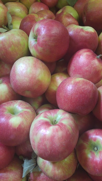 Photos of Apple Hill Orchards