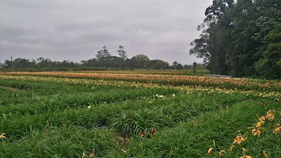 Photos of Agricultural Island