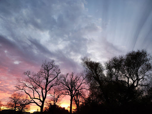 Spring Trail Park - Visual