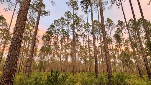 Cary Campground - Visual