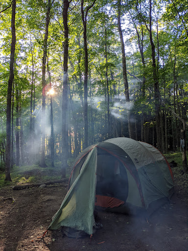 Sylvania Wilderness Gallery - United States