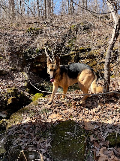 Mill Spring Trail