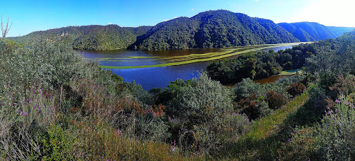 El Pesquerón - Visual
