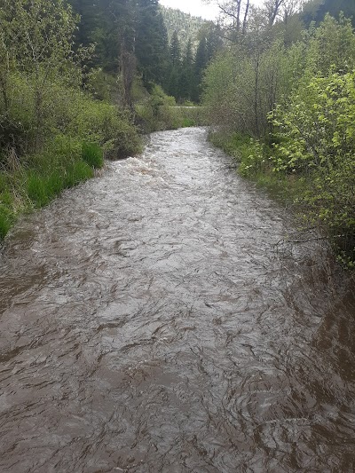 Petty Creek Bighorn Sheep Viewing Site