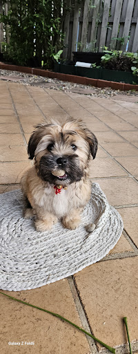 Anvet Kedron Veterinary Surgery