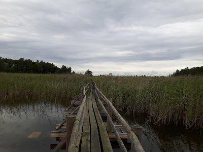 Photos of Lake Kaņieris