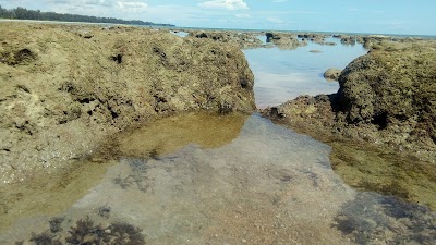Photos of Dermaga Temajuk