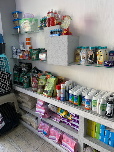 +QM petshop and fashion boutique - Thumbnail