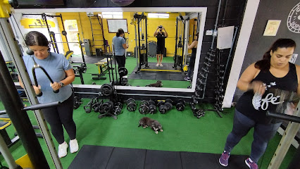 Academia Studio Funcional Inteligente