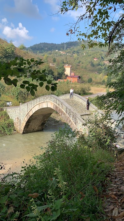 جسر على النهر