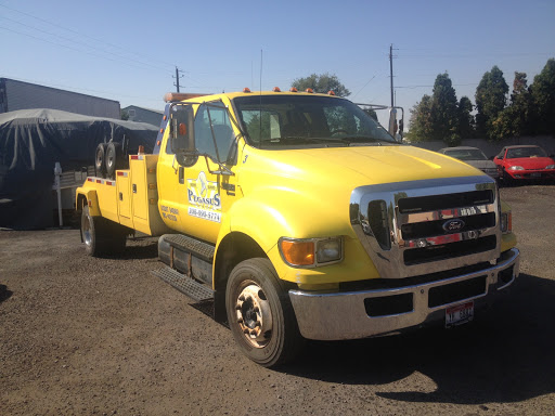 Pegasus Transport Logo
