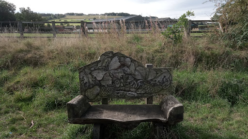 Lanchester Valley Railway Path - Thumbnail