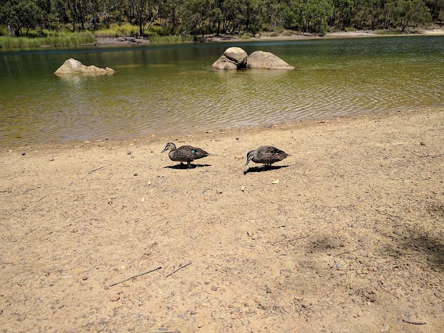 John Forrest National Park