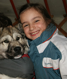 Photo n°16 de CHIENS DE TRAINEAUX NANOOK à Névache (Siège social)