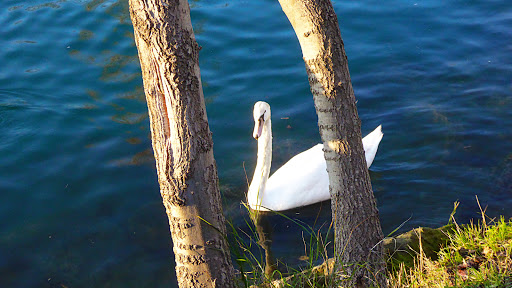 Berges de la Siagne - Thumbnail