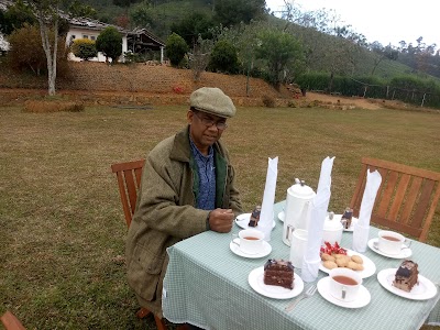Photos of Rookwood Resort