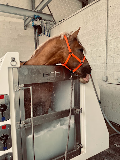 Equin'o Care - Thumbnail