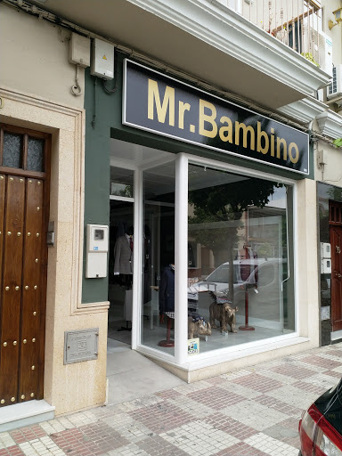Mr.Bambino