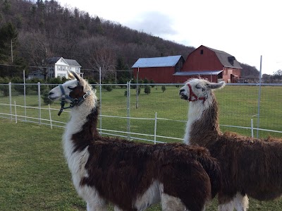 Dinky Doo Petting Zoo