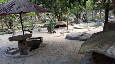 Photos of La Cueva de las Minas