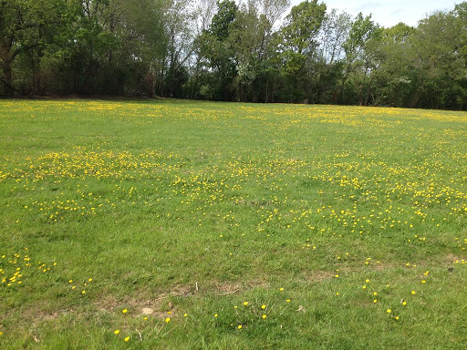 Still Acres Touring & Camping Site - Thumbnail
