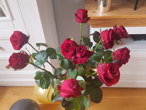 Fränky's Blumen - Visual
