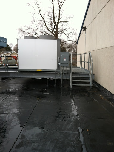 Shelly Sons Electrical - Visual