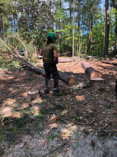 Fall Line Tree Service