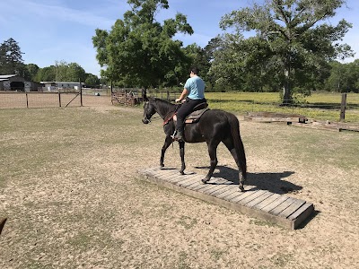 Circle R stables