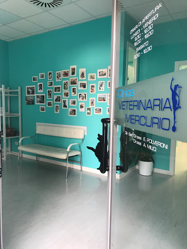 Clinica Veterinaria Mercurio dei Dr.Associati E. Polveroni e A.Milici - Thumbnail