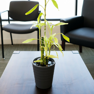 Photo of Vireo Health - Queens