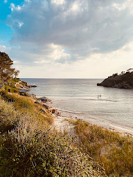 Photo n°2 de Café de la plage à Névez (Bar)