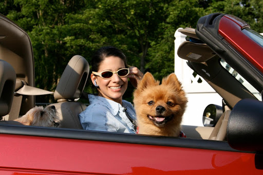 Allendale Veterinary Hospital Gallery - United States