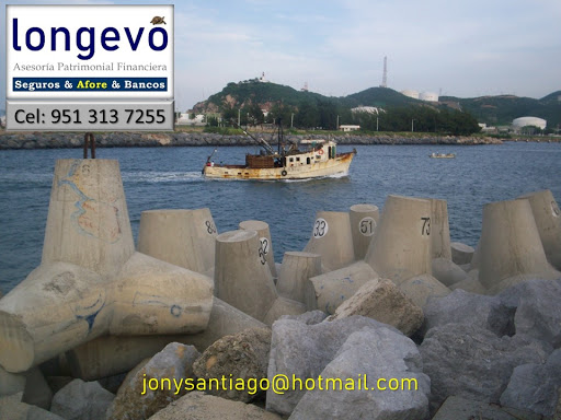 Longevo.apf - Visual