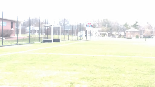 Collegiate Fields - Thumbnail