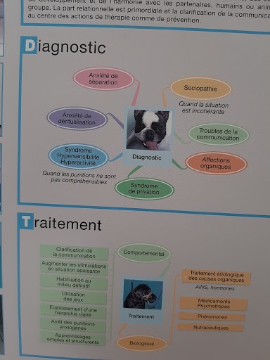 Vétérinaires Ladrat Lesimple SCP