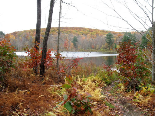 Beebe Hill State Forest - Thumbnail