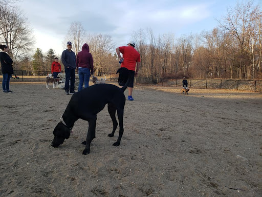 Fitchburg Dog Park Gallery - United States