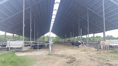 Photos of Caba&ntilde;a Sabel