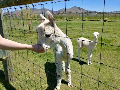 Crescent Moon Ranch