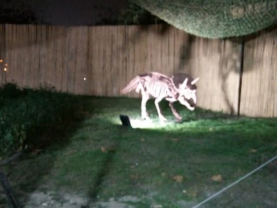 Photos of Zabeel Park