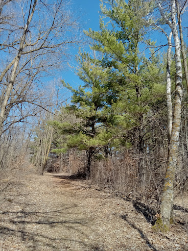 North Country Trail / Tamarac NWR - Pine Lake Parking Area Gallery - United States