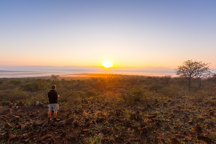 White Elephant Safaris by null