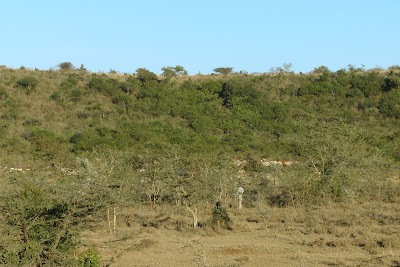 Photos of Suguta Marmar Center
