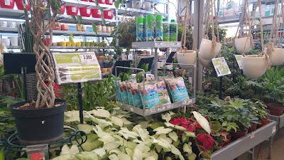 Photos of Sodimac Homecenter Linares