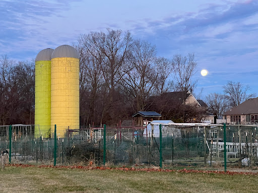 William F. Miles Community Garden - Thumbnail
